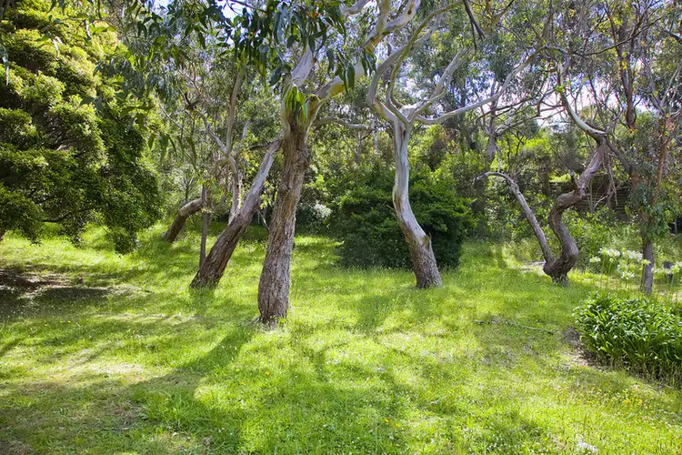 Seventh view of Homely land listing, LOT 2, 3 Great Ocean Road, Wye River VIC 3221