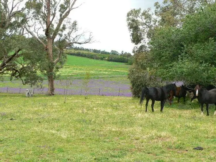 Second view of Homely rural property listing, Lot 342 Ovington Lane, Forest Reefs NSW 2798