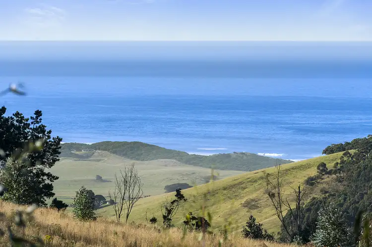 505 Blue Johanna Road, Johanna VIC 3238