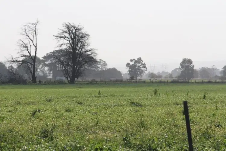 Fifth view of Homely rural property listing, 1860 Main Drain Road, Vervale VIC 3814