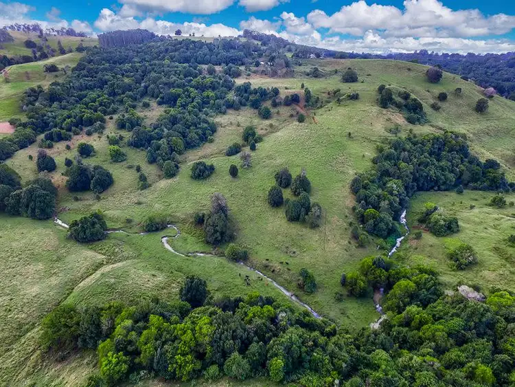 Fifth view of Homely house listing, 131 Currie Road, The Channon NSW 2480