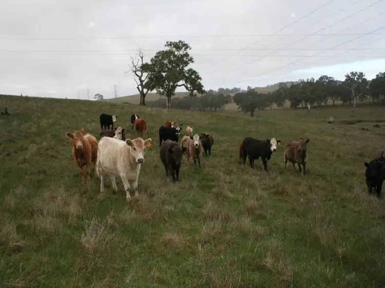 Fifth view of Homely rural property listing, Lot 30 Mount Torrens Road, Tungkillo SA 5236
