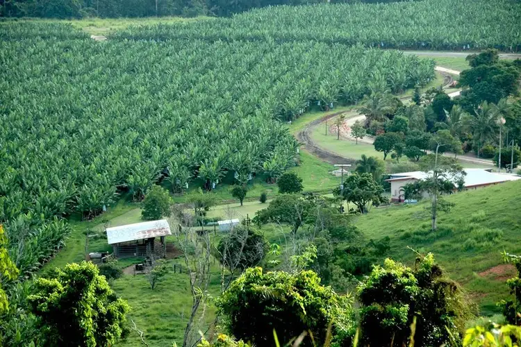Fifth view of Homely rural property listing, 16 Cowley Creek Road, Cowley QLD 4871