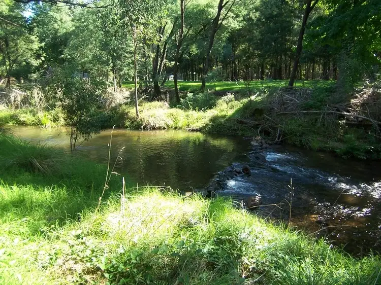 Fifth view of Homely land listing, 436 Morses Creek Rd, Wandiligong VIC 3744
