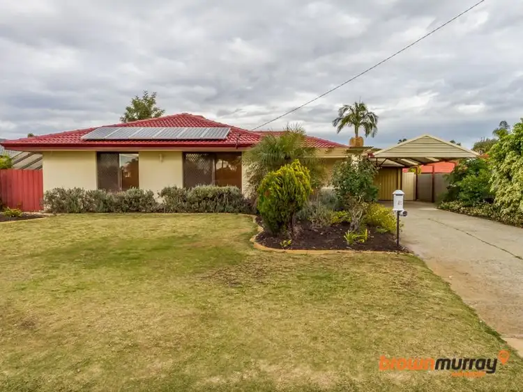 Main view of Homely house listing, 81 Shillington Way, Thornlie WA 6108