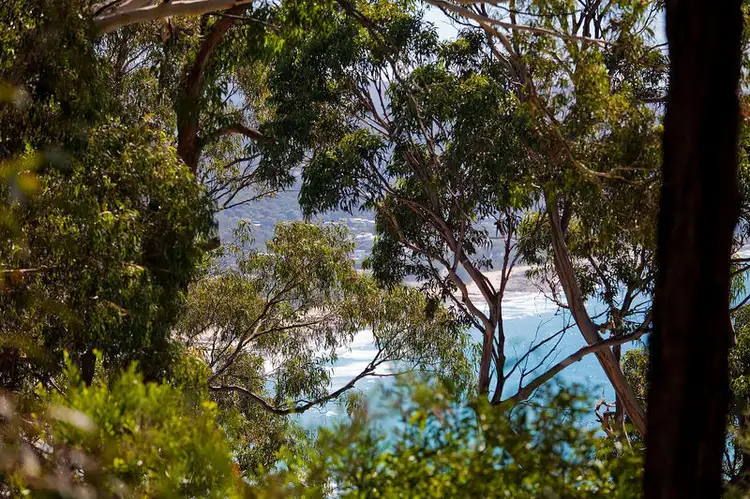 55 George Street, Lorne VIC 3232