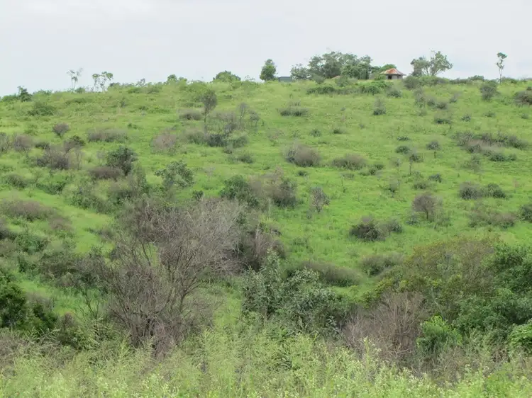 Third view of Homely land listing, 103 Boneham Rd, Mount Larcom QLD 4695