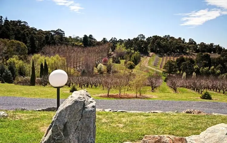 Third view of Homely house listing, 341 Nancarrow Lane, Nashdale NSW 2800