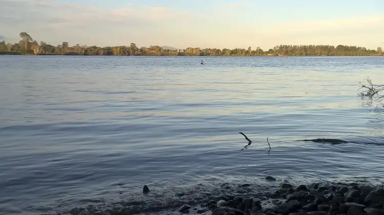 Fifth view of Homely rural property listing, Address available on request