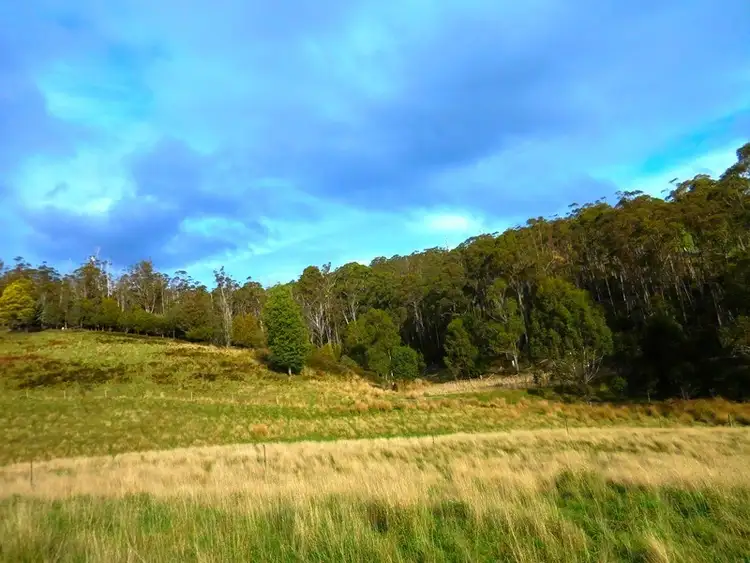 Sixth view of Homely land listing, 30 acres off Abbots Road, Nicholls Rivulet TAS 7112
