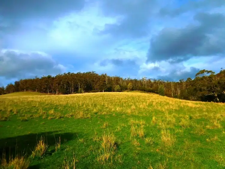 Fifth view of Homely land listing, 30 acres off Abbots Road, Nicholls Rivulet TAS 7112