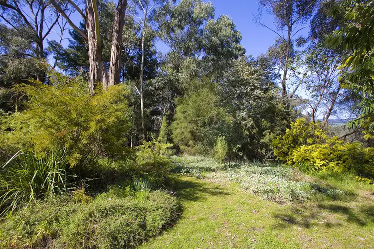 Seventh view of Homely house listing, 70 Bambra - School Road, Bambra VIC 3241