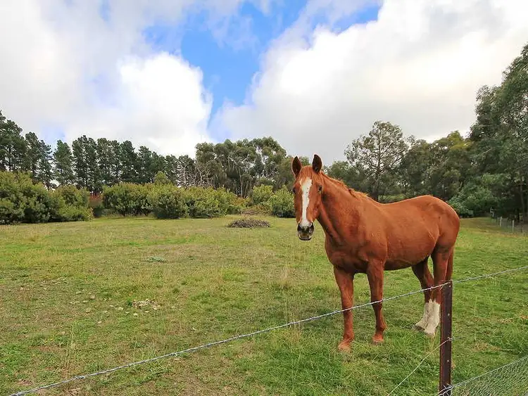 Fourth view of Homely rural property listing, Address available on request