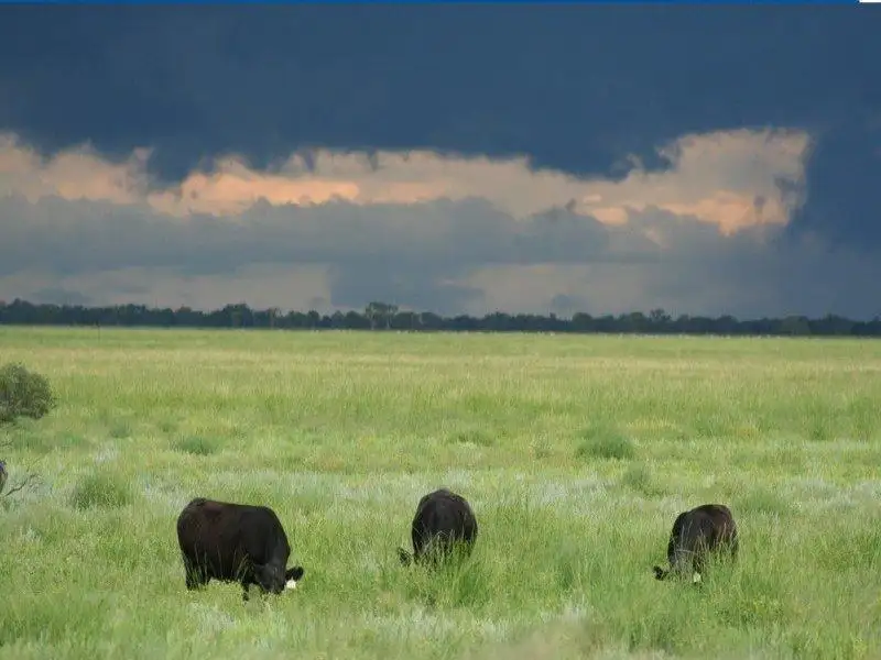 Main view of Homely rural property listing, - Talawanta & Ardrossan, Brewarrina NSW 2839