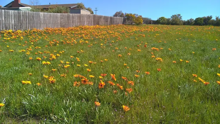 Fifth view of Homely land listing, 1 Cunningham Close, Bacchus Marsh VIC 3340
