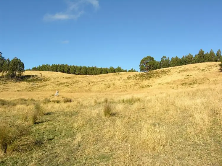 Third view of Homely land listing, Off Huon Highway, Dover TAS 7117