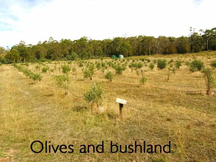 Seventh view of Homely house listing, 59 Leesons Road, Westerway TAS 7140