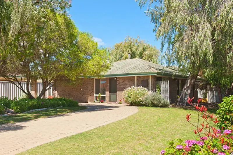 Main view of Homely house listing, 31 Songlark Mews, Geographe WA 6280