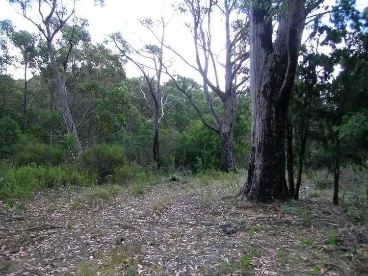 Seventh view of Homely land listing, Hastings Caves Road, Hastings TAS 7109