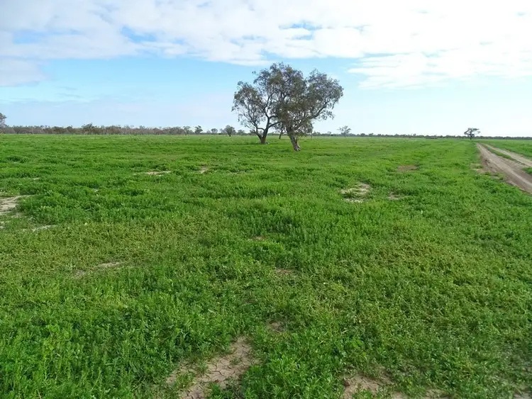 Fourth view of Homely rural property listing, - Coolaburra, Brewarrina NSW 2839