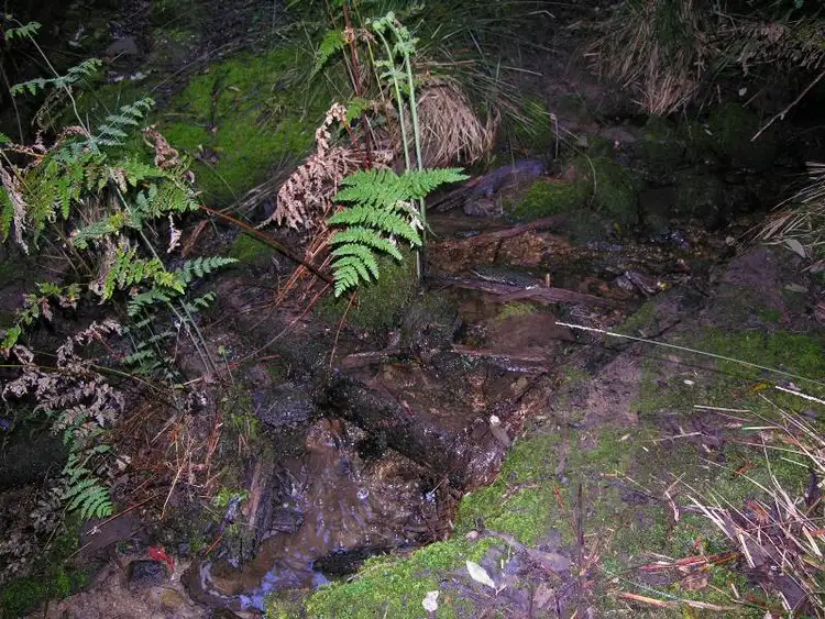 Fourth view of Homely land listing, Off Waggs Gully Road, Ranelagh TAS 7109