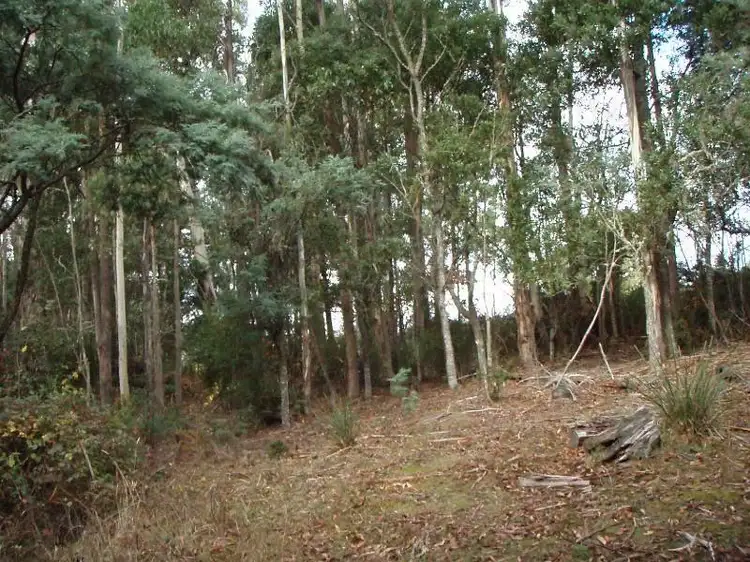 Fourth view of Homely land listing, Lot 4 Holmes Road, Ellendale TAS 7140