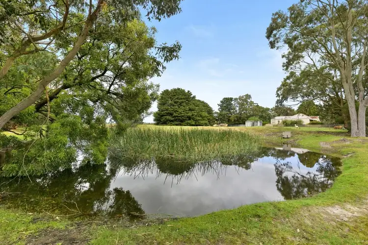 Second view of Homely rural property listing, 1125 Winchelsea - Deans Marsh Road, Bambra VIC 3241