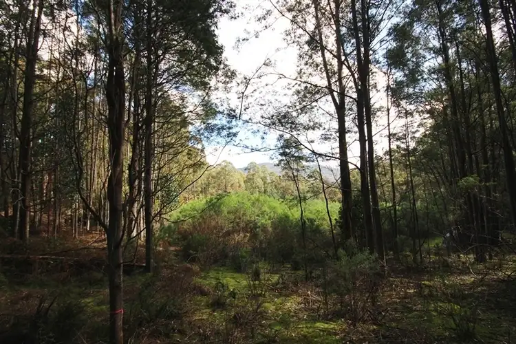 Seventh view of Homely land listing, Lot 1 Middle Road, Pelverata TAS 7150