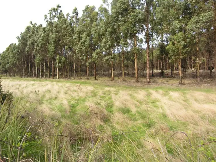 Sixth view of Homely land listing, Lot 2A Lonnavale Road, Lonnavale TAS 7109