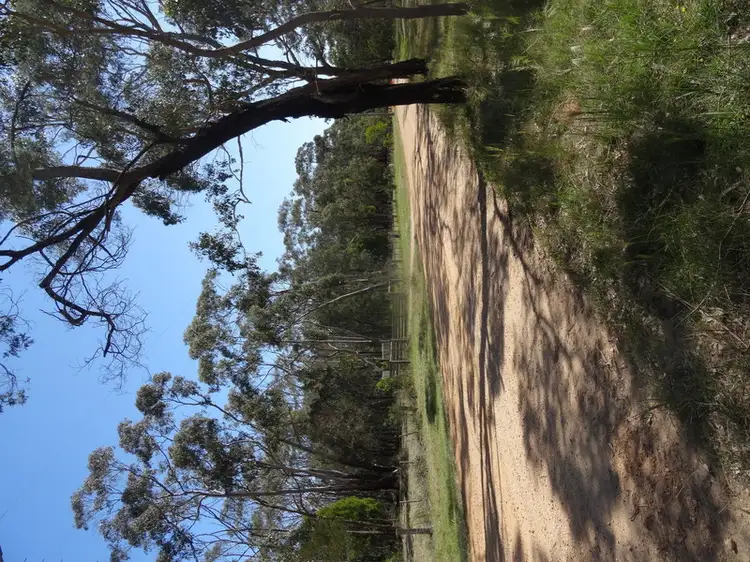 Third view of Homely land listing, 55 Noels Lane, Gherang VIC 3240