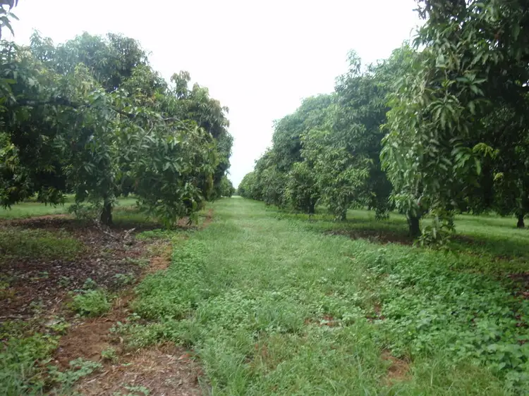 Third view of Homely rural property listing, 830 Anzac Parade/ Road, Middle Point NT 822