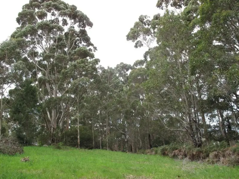 Main view of Homely land listing, 17 Hillside Close, Denmark WA 6333