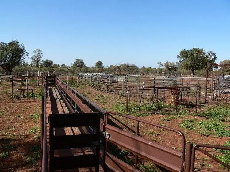 Seventh view of Homely rural property listing, - Winrae, Bourke NSW 2840