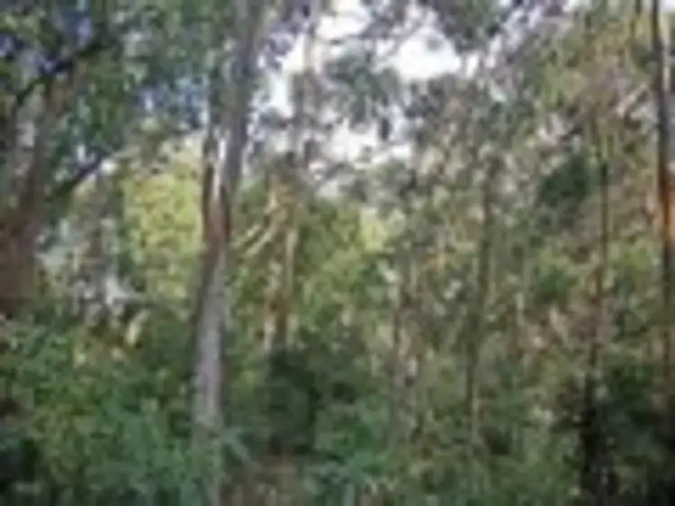 Second view of Homely land listing, 21 Durimbil Avenue, Wye River VIC 3221