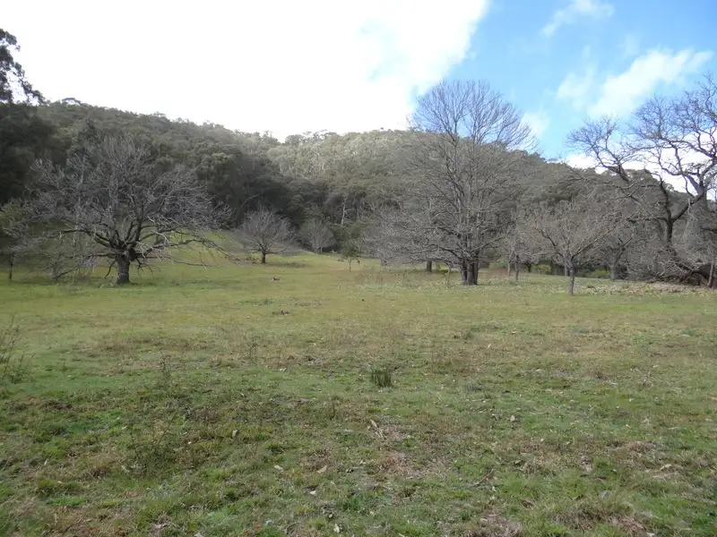 Main view of Homely land listing, CA11, Sec 16 Parish of Bright Sideling Track, Wandiligong VIC 3744