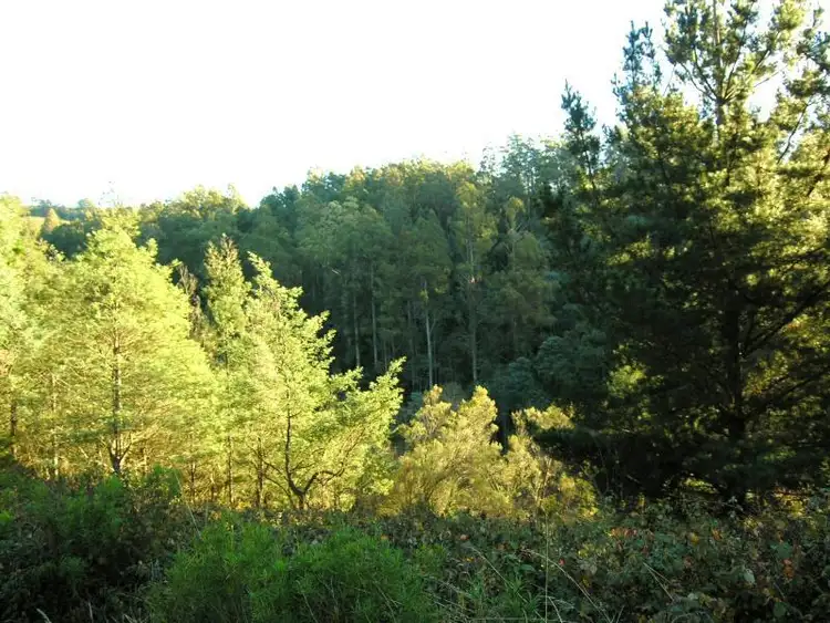 Seventh view of Homely land listing, Old Road, Franklin TAS 7113