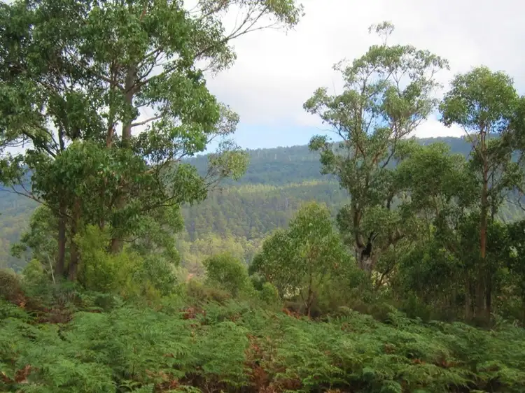 Lot 2 Off Pelverata Road, Pelverata TAS 7150