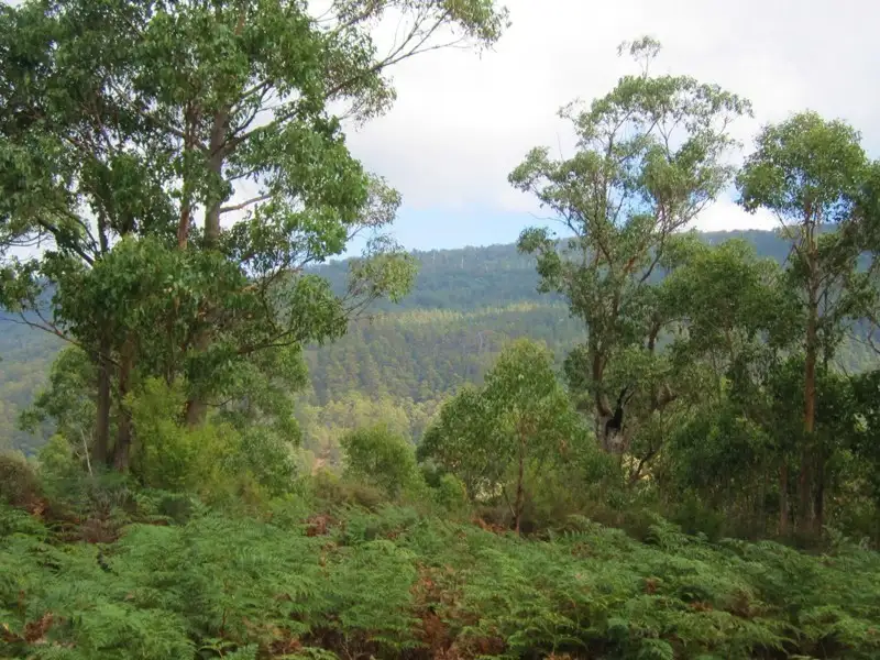 Main view of Homely land listing, Lot 2 Off Pelverata Road, Pelverata TAS 7150