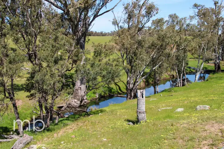 Fifth view of Homely rural property listing, Innisleigh 1108 Reedy Creek Road, Mandagery NSW 2870
