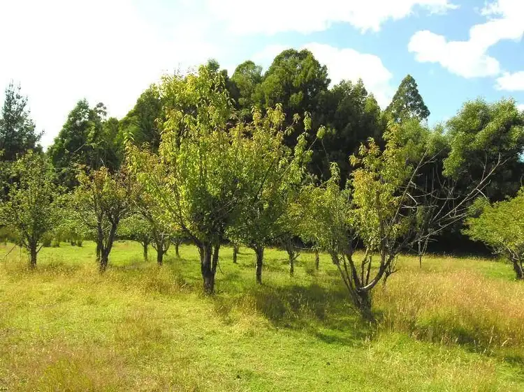 Third view of Homely land listing, 7736 Huon Highway, Strathblane TAS 7109