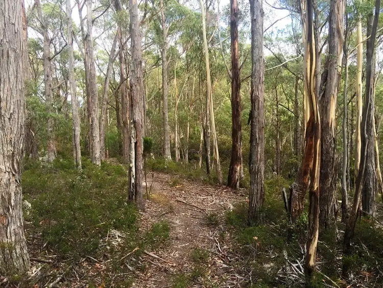 Seventh view of Homely land listing, 39 Duponts Road, Lymington TAS 7109