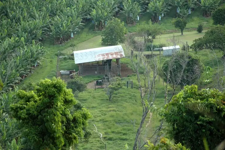 Sixth view of Homely rural property listing, 16 Cowley Creek Road, Cowley QLD 4871
