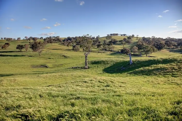 Seventh view of Homely rural property listing, 1264 Acres, Guyong NSW 2798