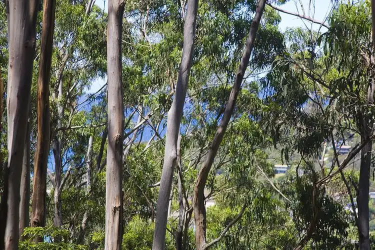 Main view of Homely land listing, 18 Dunoon Road, Wye River VIC 3221
