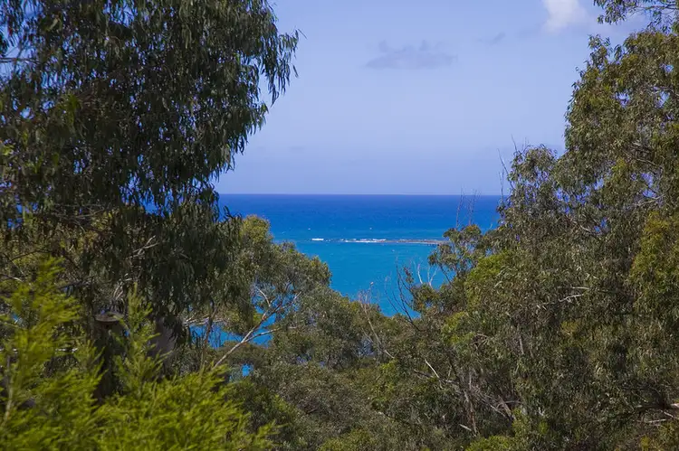 Fourth view of Homely house listing, 69 Deans Marsh Road, Lorne VIC 3232