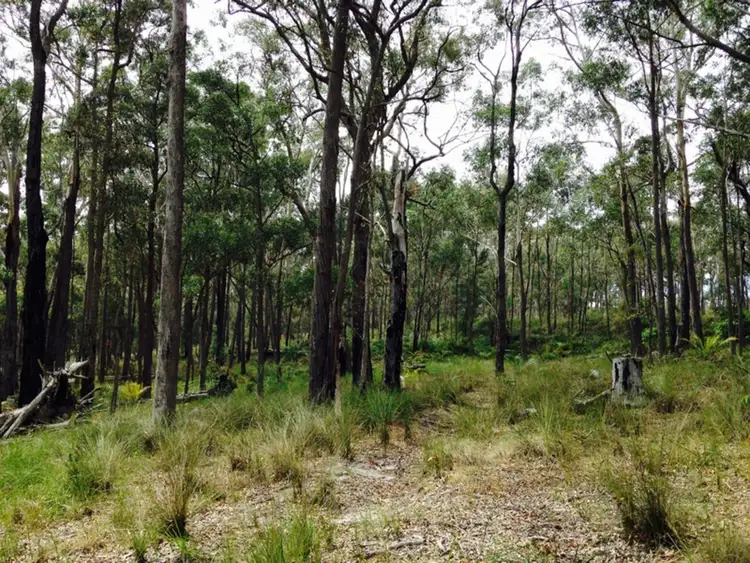 Third view of Homely land listing, Lot 5, LOT Lot 5, 1067 Congo Rd, Meringo NSW 2537