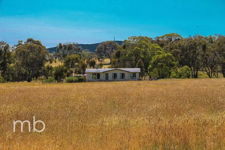 Main view of Homely house listing, 253 Mandurama Road, Mandurama NSW 2792