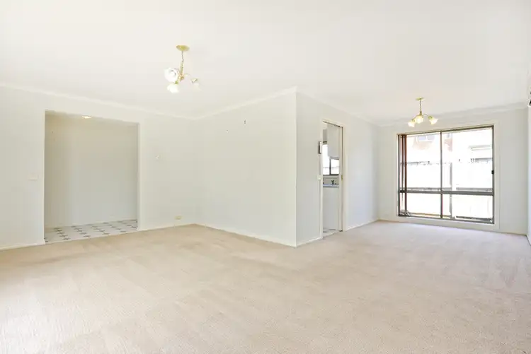 Second view of Homely house listing, 239 Boundary Road, Whittington VIC 3219