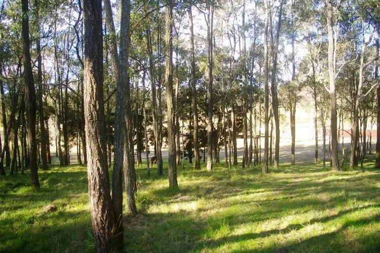 Sixth view of Homely rural property listing, 11 Threlkeld Drive, Cattai NSW 2756