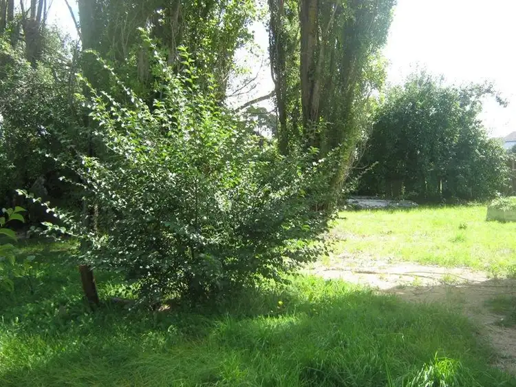 Fifth view of Homely house listing, 48 Bombala STREET, Nimmitabel NSW 2631
